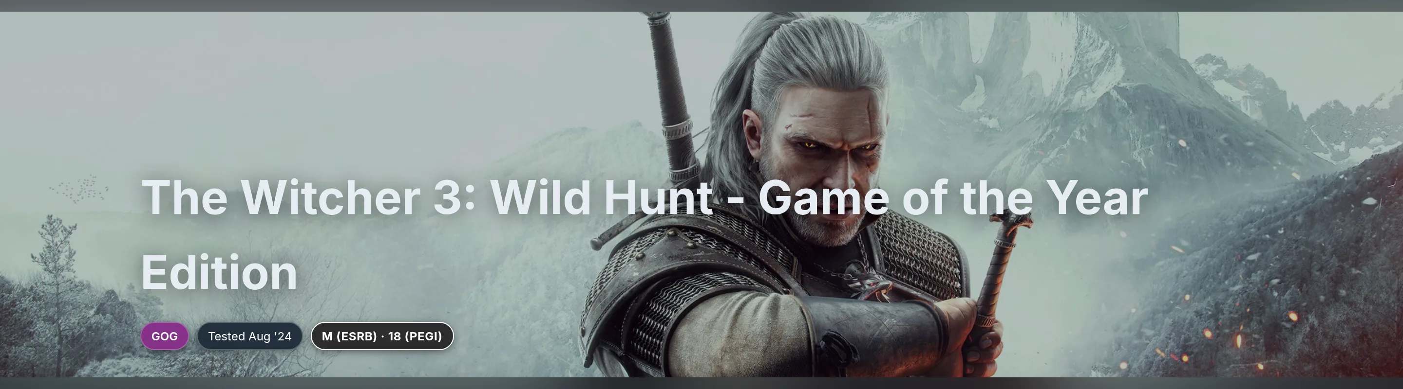 Top of a Junk Store game page showing the banner art, game title and badge row