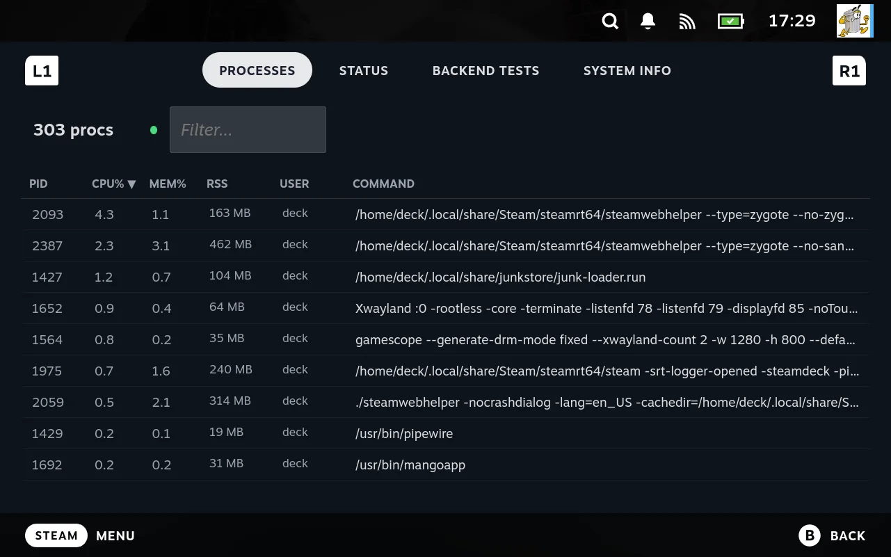 The Processes tab, a filterable table of running processes with their full command lines.