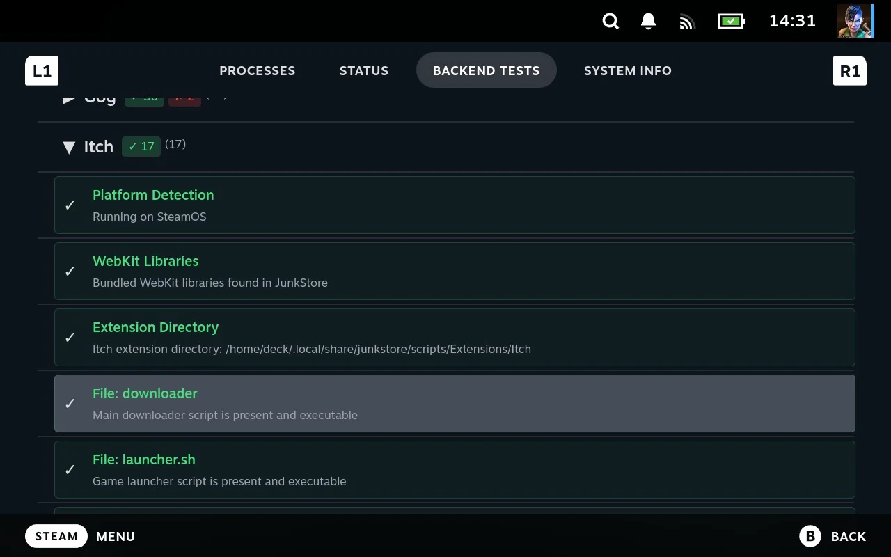 The Itch group expanded, listing that extension's own checks: platform detection, bundled libraries, its extension directory, and whether its downloader and launcher scripts are present.