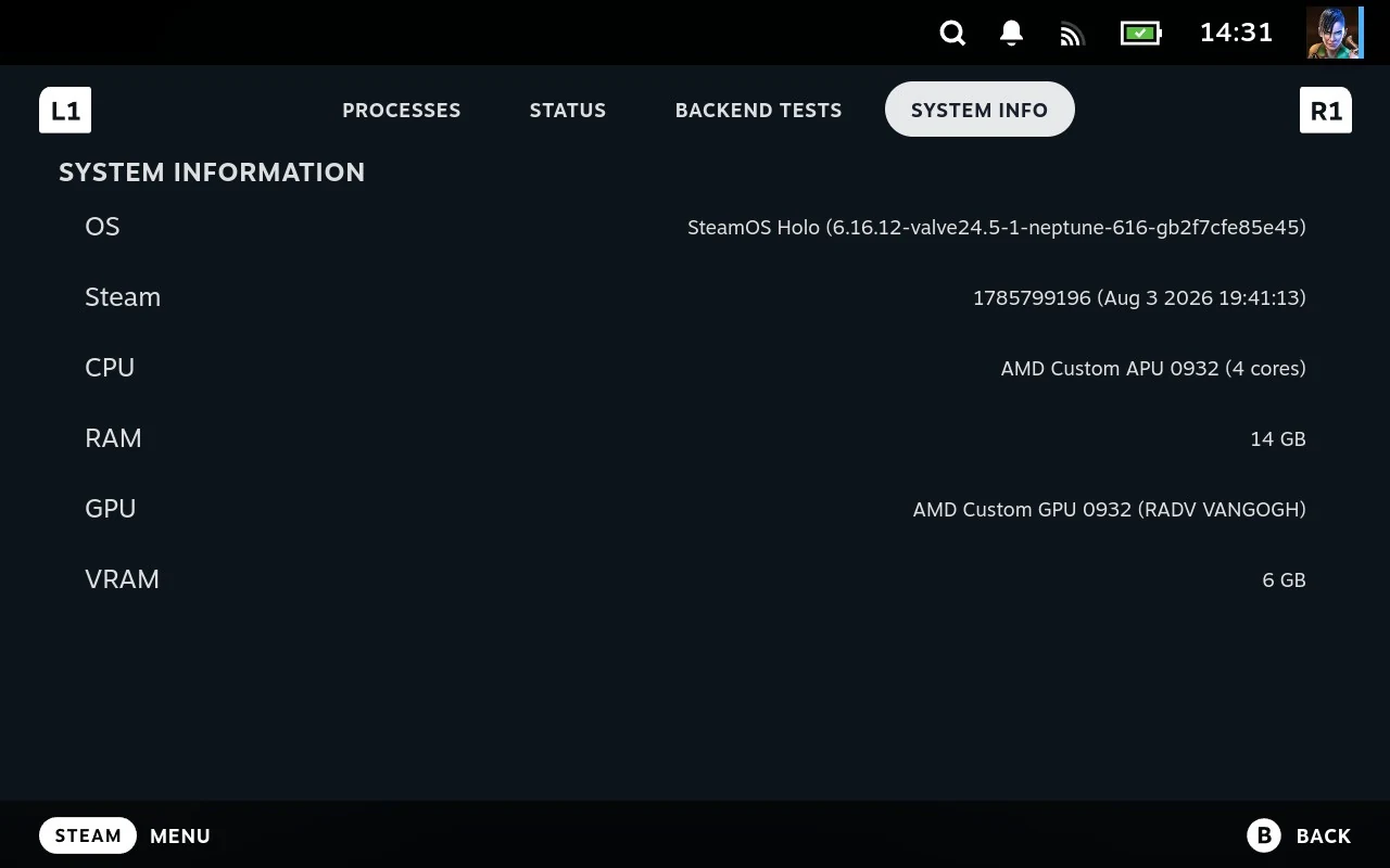 The System Info tab, listing the operating system, Steam build, CPU, memory, GPU and video memory.