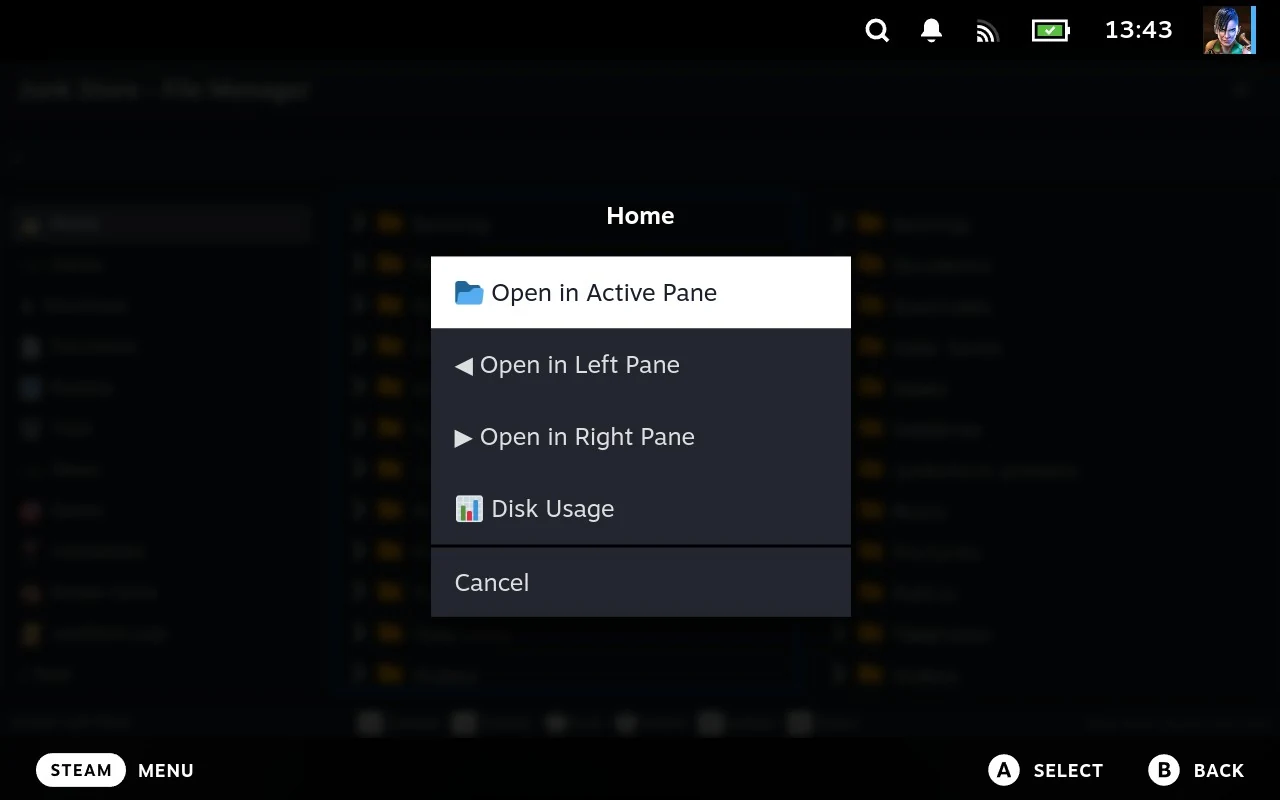 The menu on a sidebar entry, offering to open it in the active, left or right pane, or to run Disk Usage on it.