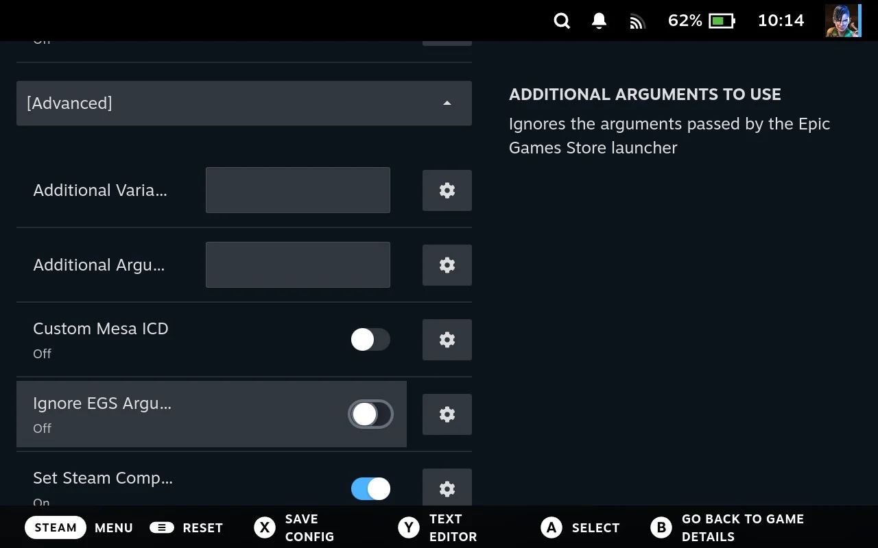 The Advanced section: Additional Variables and Additional Arguments, the custom Mesa driver, and the switch that ignores the store launcher's own arguments.