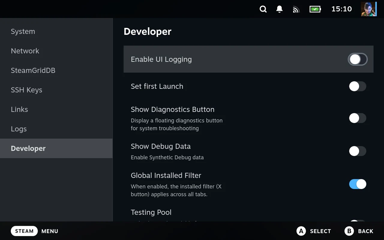 The Developer section, a column of switches including UI logging, the diagnostics button, and the global installed filter.