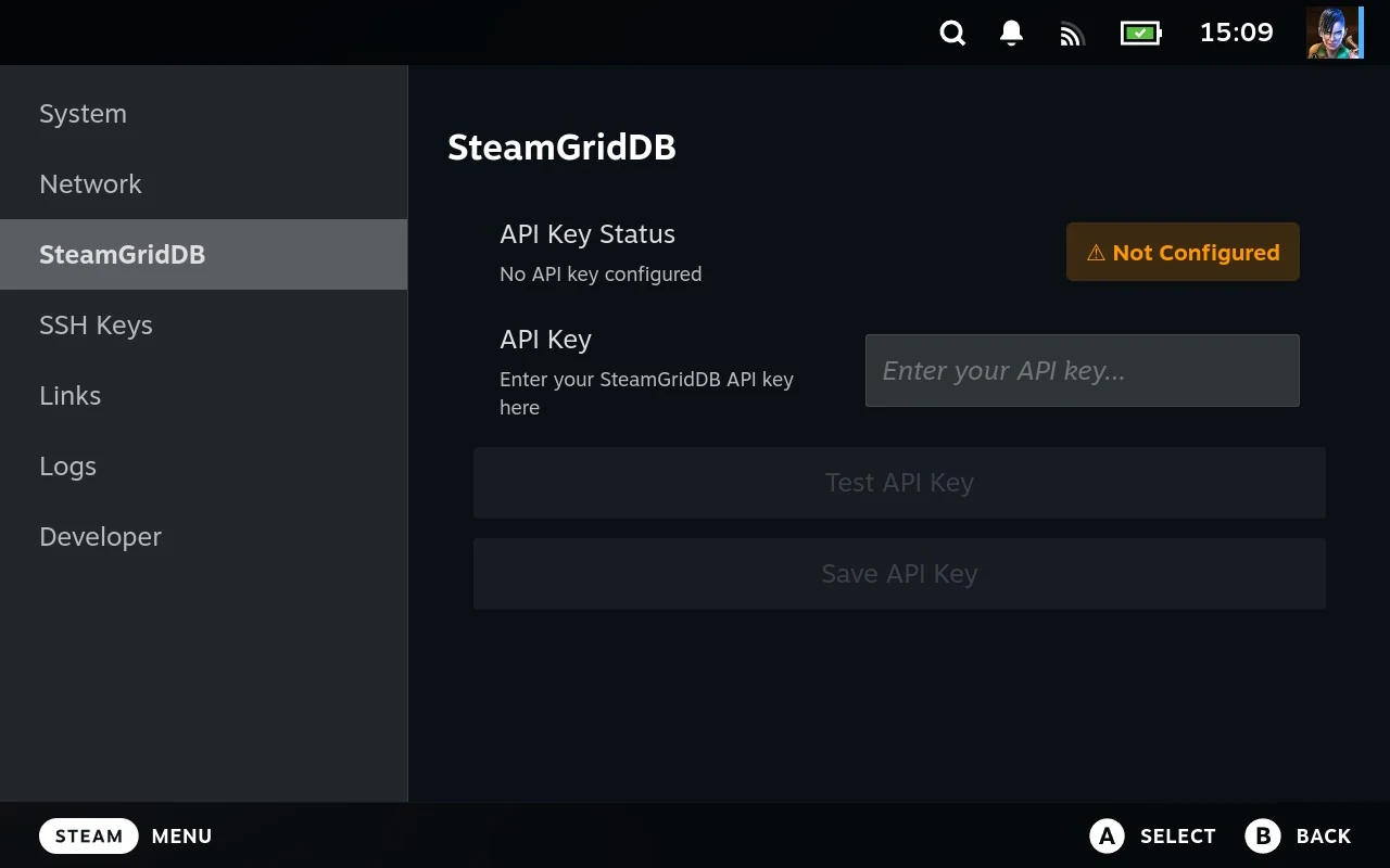 The SteamGridDB section before a key is set, showing API Key Status as Not Configured and an empty key box.