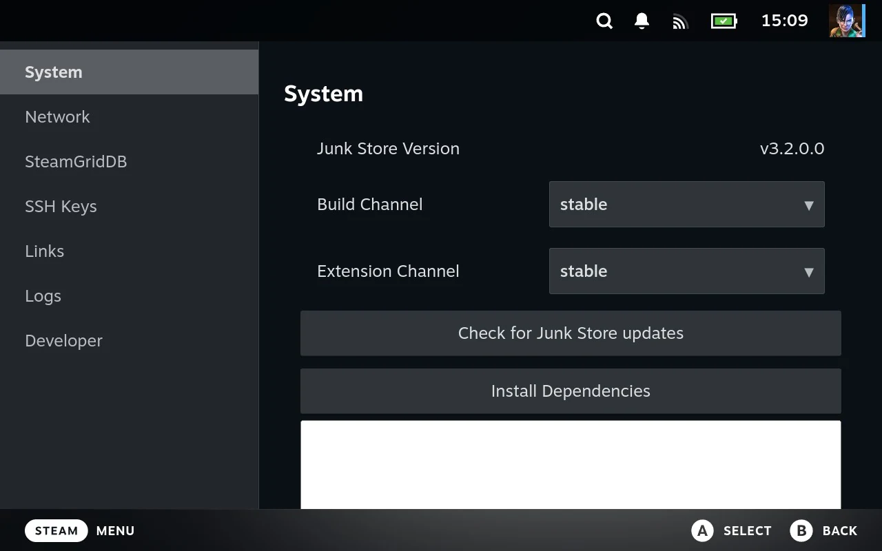 The System section, showing the Junk Store Pro version and both channel dropdowns set to stable.