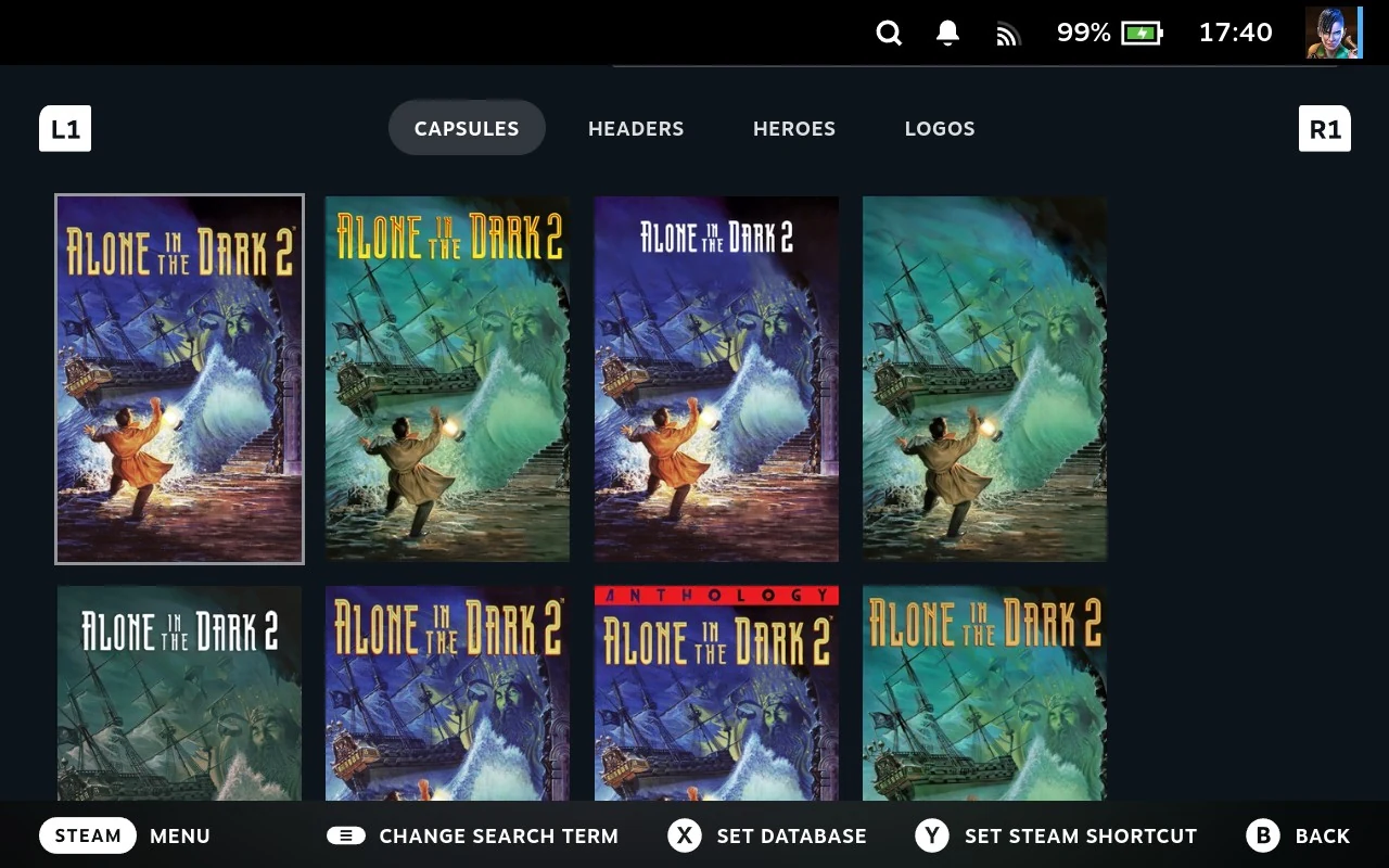 The SteamGridDB screen with Capsules, Headers, Heroes and Logos across the top, and a grid of covers for the game beneath.