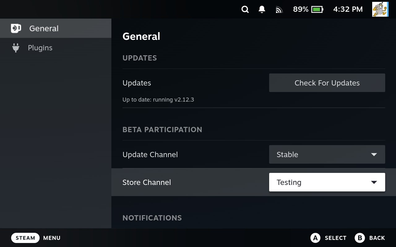 Decky Store Channel settings