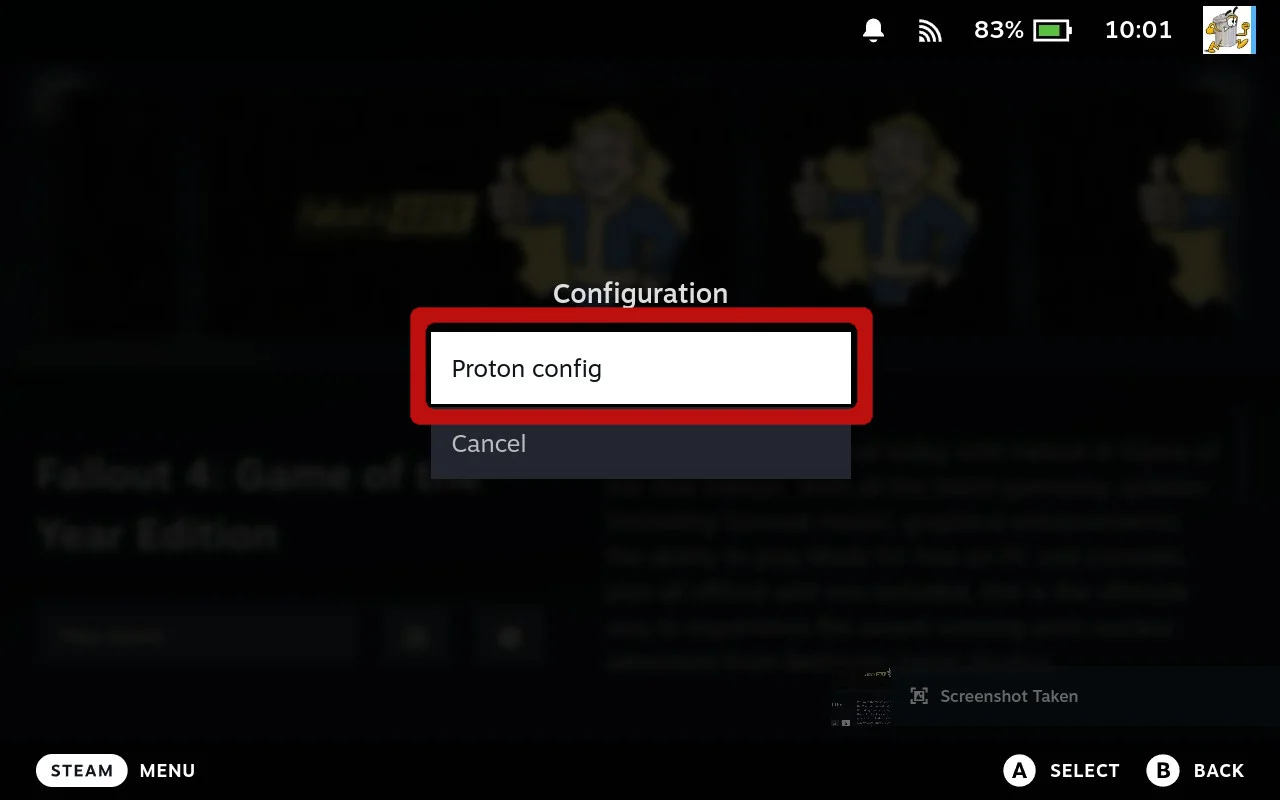 Proton Configs option