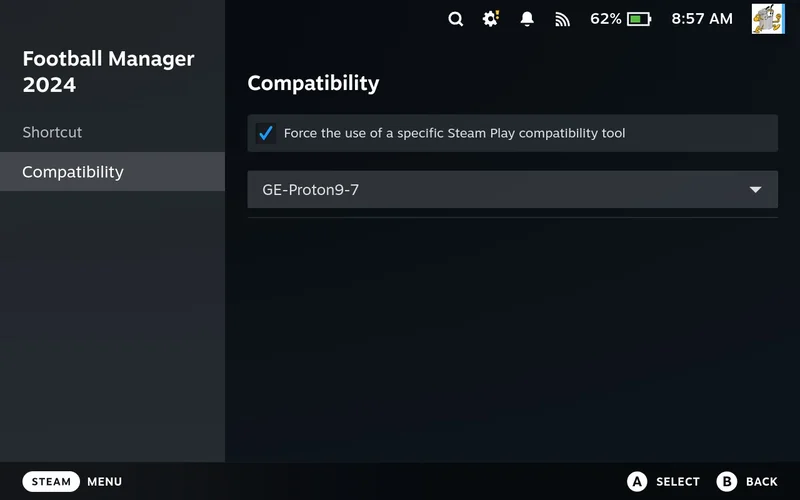 Compatibility tab with Proton settings