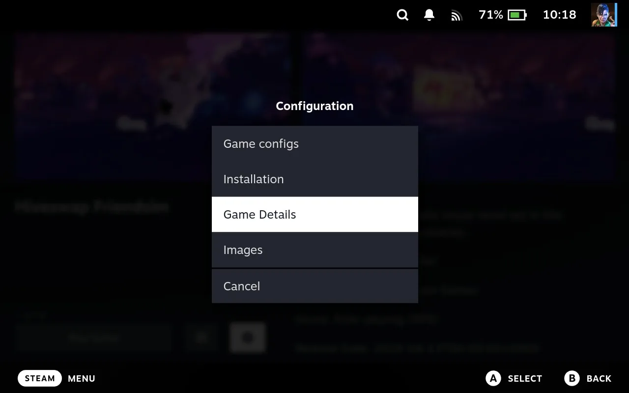 Junk Store Configuration menu with Game Details selected