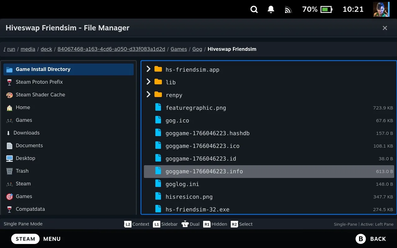 Junk Store File Manager showing the game folder with the goggame info file selected